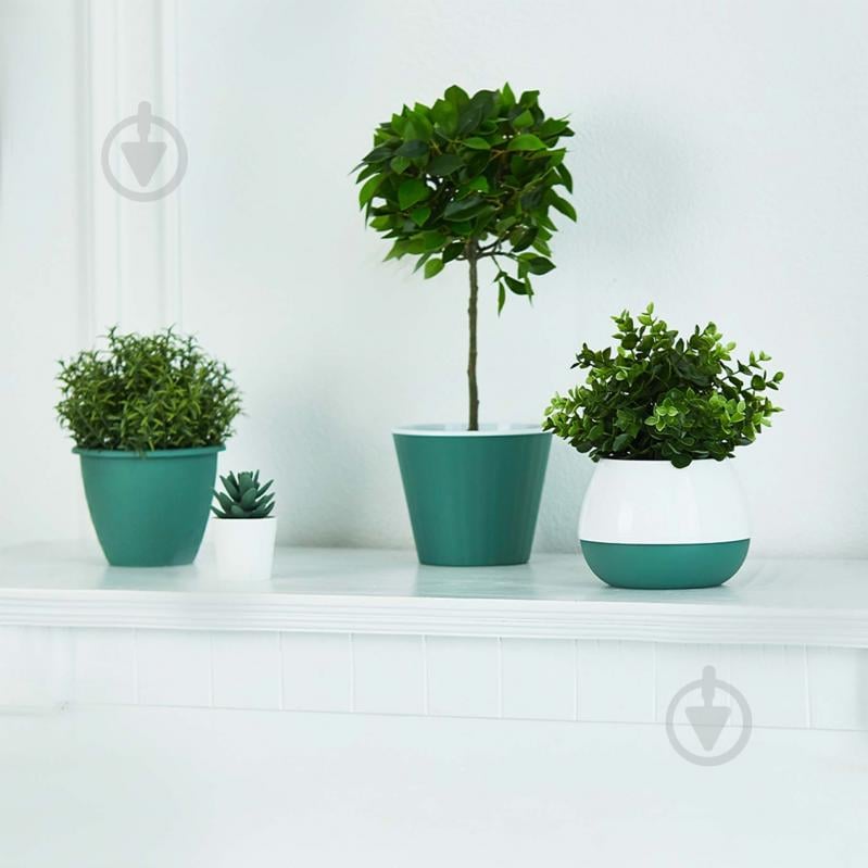 Вазон Ібіс 15,7х13,0 см круглий зелений/білий 1,7 л Алеана - фото 4 Вазон Ібіс 15,7х13,0 см круглий зелений/білий 1,7 л Алеана - фото 4