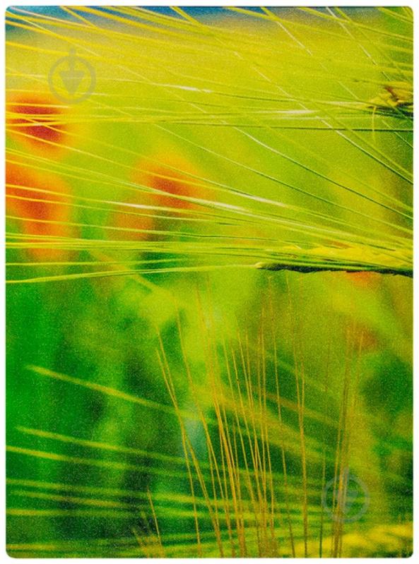 Картина модульная 3 части Пшеничное поле 90x50 см Eclipse МК011 - фото 2