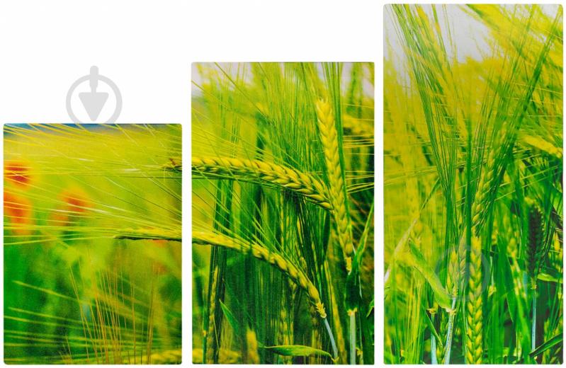 Картина модульная 3 части Пшеничное поле 90x50 см Eclipse МК011 - фото 1