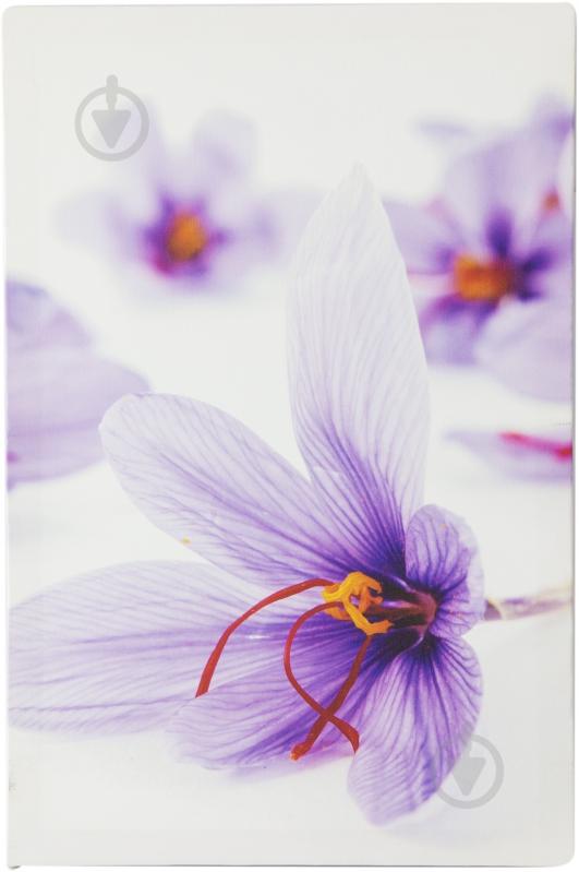 Картина модульная 3 части Крокусы 90x60 см Eclipse МК012 - фото 4 Картина модульная 3 части Крокусы 90x60 см Eclipse МК012 - фото 4