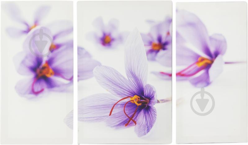 Картина модульная 3 части Крокусы 90x60 см Eclipse МК012 - фото 1 Картина модульная 3 части Крокусы 90x60 см Eclipse МК012 - фото 1