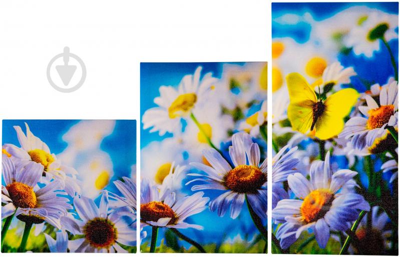 Картина модульная 3 части Лето 60x90 см МК035 - фото 1