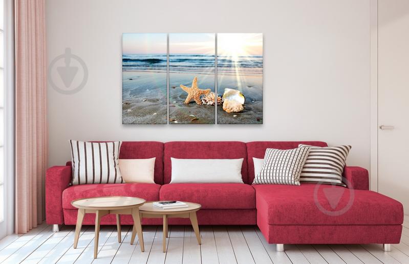 Картина модульная 3 части Астериас рубенс и море 30x60 см Eclipse МК058 - фото 2