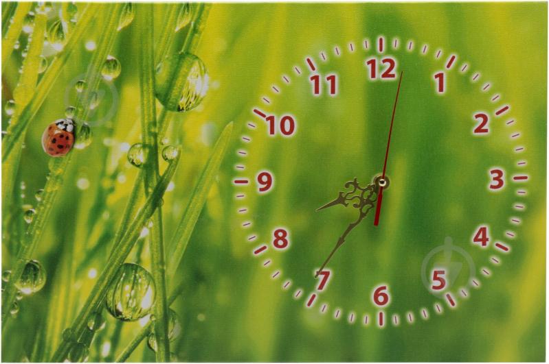 Часы настенные Ч02-023 - фото 1