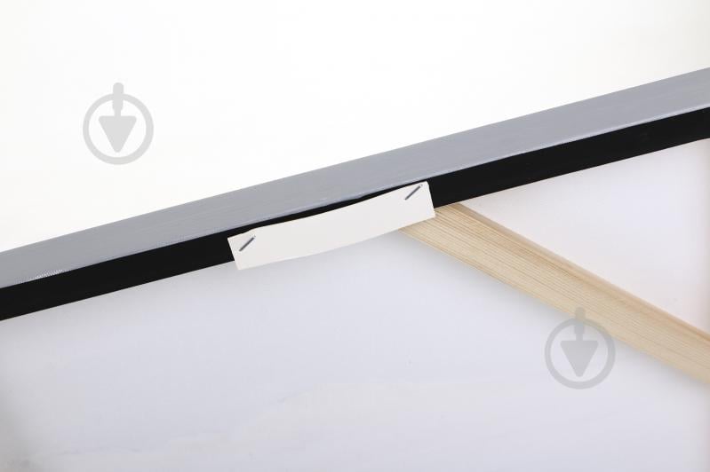 Картина ручної роботи Palm рельєфний малюнок 70x140 см Sensio F600B - фото 5 Картина ручної роботи Palm рельєфний малюнок 70x140 см Sensio F600B - фото 5