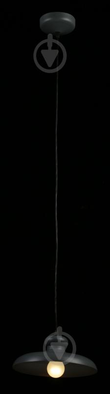 Подвес Nowodvorski 5072 1x60 Вт E27 серый Concrete - фото 2