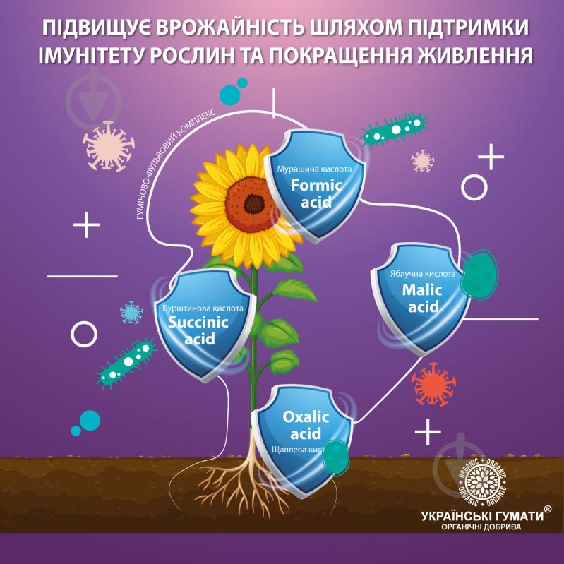 Добриво органічне Українські гумати для стимулювання росту та захисту 500 г - фото 3