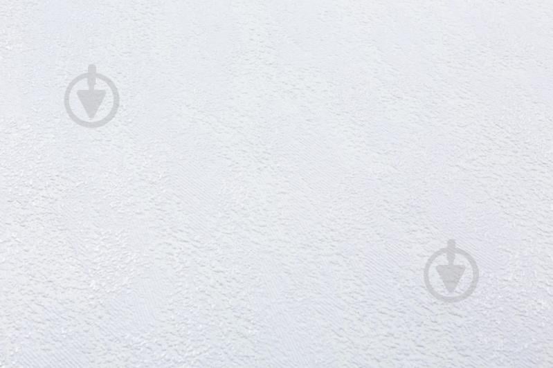 Шпалери зі спіненого вінілу Vinil Rains ДХС-1588/1 1,06x10,05 м - фото 2