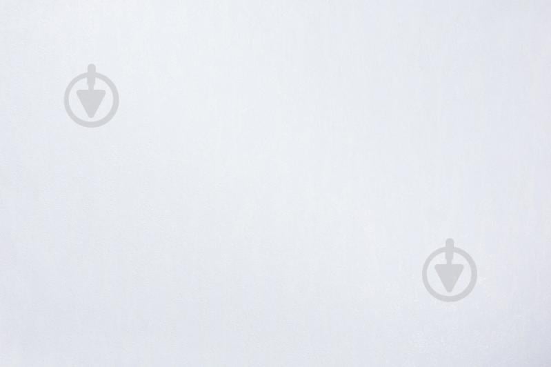 Шпалери зі спіненого вінілу Vinil Rains ДХС-1588/1 1,06x10,05 м - фото 1