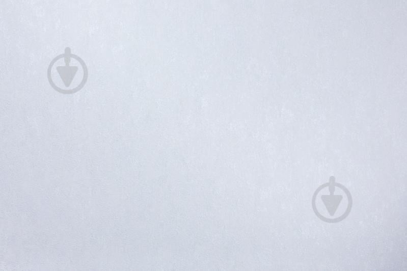 Шпалери зі спіненого вінілу Vinil Rains ДХС-1588/3 1,06x10,05 м - фото 2 Шпалери зі спіненого вінілу Vinil Rains ДХС-1588/3 1,06x10,05 м - фото 2