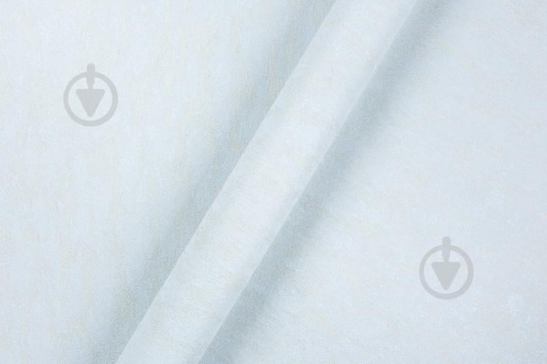 Шпалери зі спіненого вінілу Vinil Rains ДХС-1588/4 1,06x10,05 м - фото 4