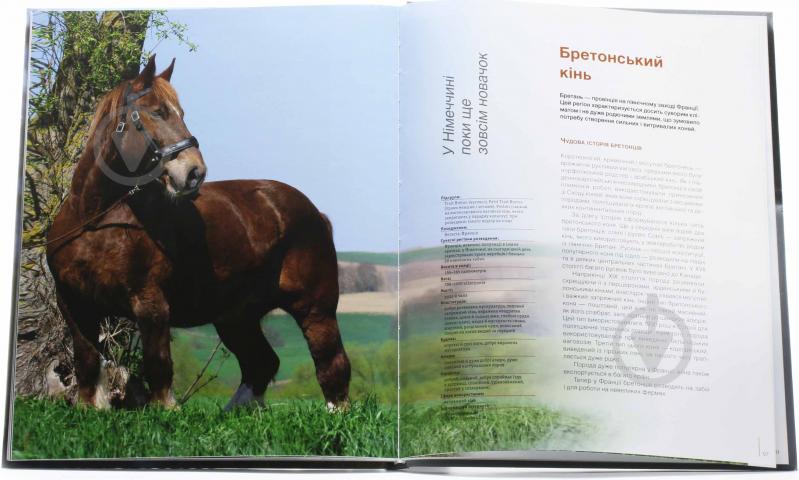 Книга Ангелика Шмельцер «Коні холоднокровні» 978-966-180-193-5 - фото 4