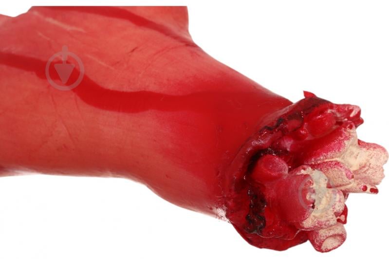 Декор для Хэллоуина Ладонь 109590140 - фото 3 Декор для Хэллоуина Ладонь 109590140 - фото 3