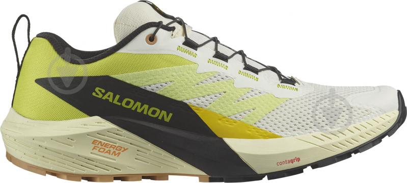 Кросівки чоловічі демісезонні Salomon SENSE RIDE 5 L47458400 р.43 1/3 біло-салатові - фото 1