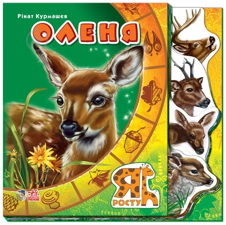 Книга Ринат Курмашев  «Оленя» 978-966-745-096-0 - фото 1