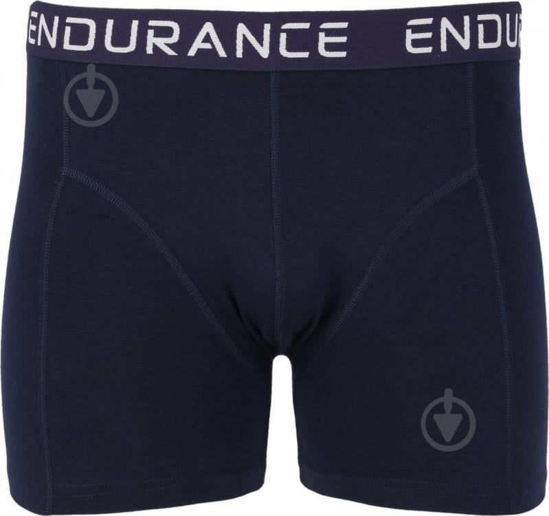 Трусы мужские Endurance Burke 3 pack E1008-2002S L синий - фото 1