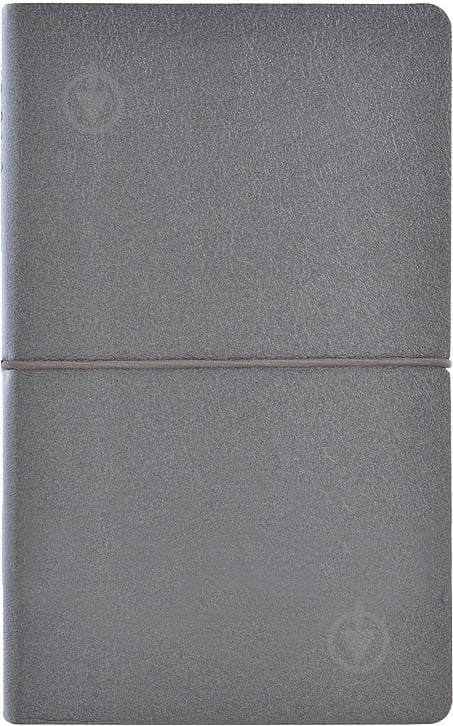 Дневник датированный графит линия Leo Planner Gusto A5 251852 - фото 1