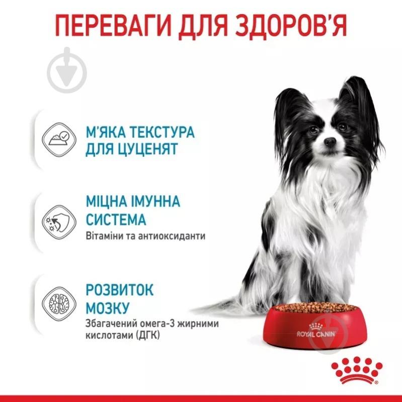 Корм влажный для щенков для малых пород Royal Canin XSmall Puppy 85 г - фото 4