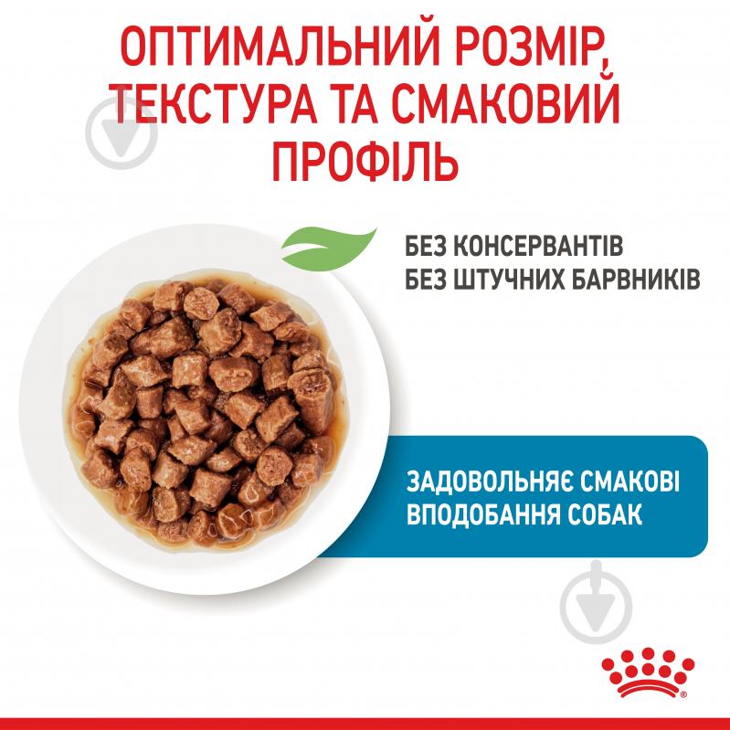 Корм вологий для цуценят для малих порід Royal Canin XSmall Puppy 85 г - фото 7