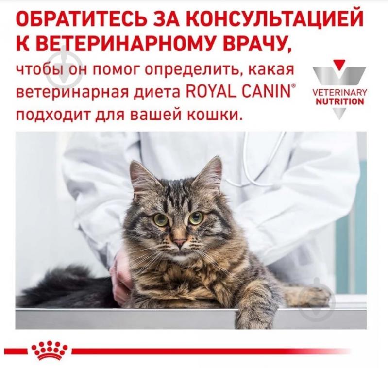 Консерва для кошек при заболеваниях нижних мочевыводящих путей Royal Canin для котов V.D. Urinary S/O Moderate Calorie in gravy 85 г - фото 2