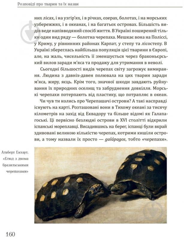 Книга «Розповіді про тварин та їх назви Кирилл Булаховский/ Кирило Булаховський» 978-617-7429-34-9 - фото 8