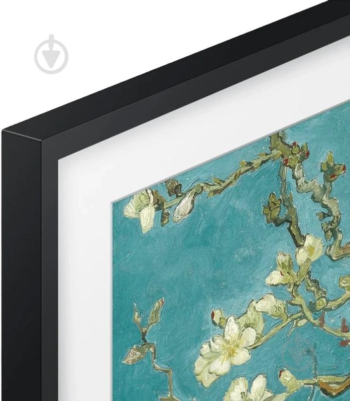 Телевизор Samsung QE32LS03CCUXUA 32" QLED - фото 3