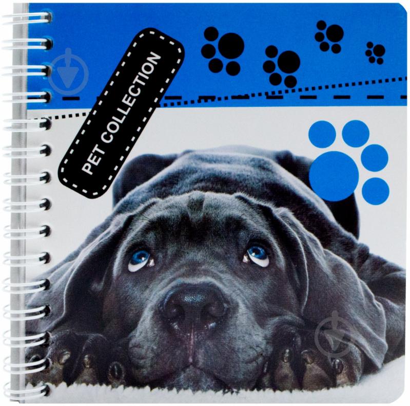 Блокнот Pet Collection В6 50 арк. - фото 1