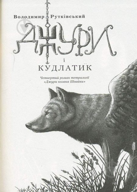 Книга Владимир Рутковский «Джури і Кудлатик» 978-617-585-089-3 - фото 2