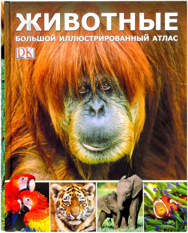 Книга «Животные. Большой иллюстрированный атлас» 978-966-14-6923-4 - фото 1