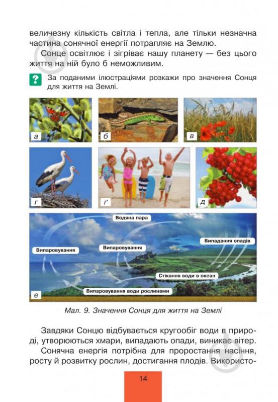 Книга Тетяна Гладюк «Природознавство : підручник для 4 класу» 978-966-10-4121-8 - фото 3