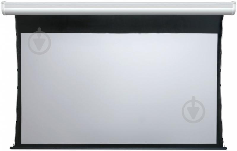 Экран Elite Screens Elite Screens Electric120V 183x243/4:3 - фото 2