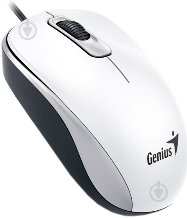 Миша Genius DX-110 USB White (31010116102) - фото 2