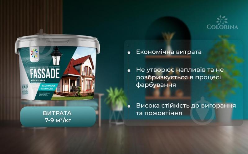 Краска фасадная акриловая водоэмульсионная COLORINA FASSADE мат белый 14 кг - фото 6 Краска фасадная акриловая водоэмульсионная COLORINA FASSADE мат белый 14 кг - фото 6