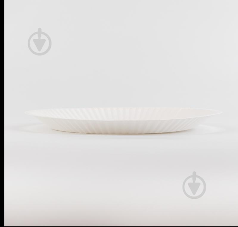 Тарелка из картона белая 180 мм GOPACK 20 шт. - фото 2 Тарелка из картона белая 180 мм GOPACK 20 шт. - фото 2