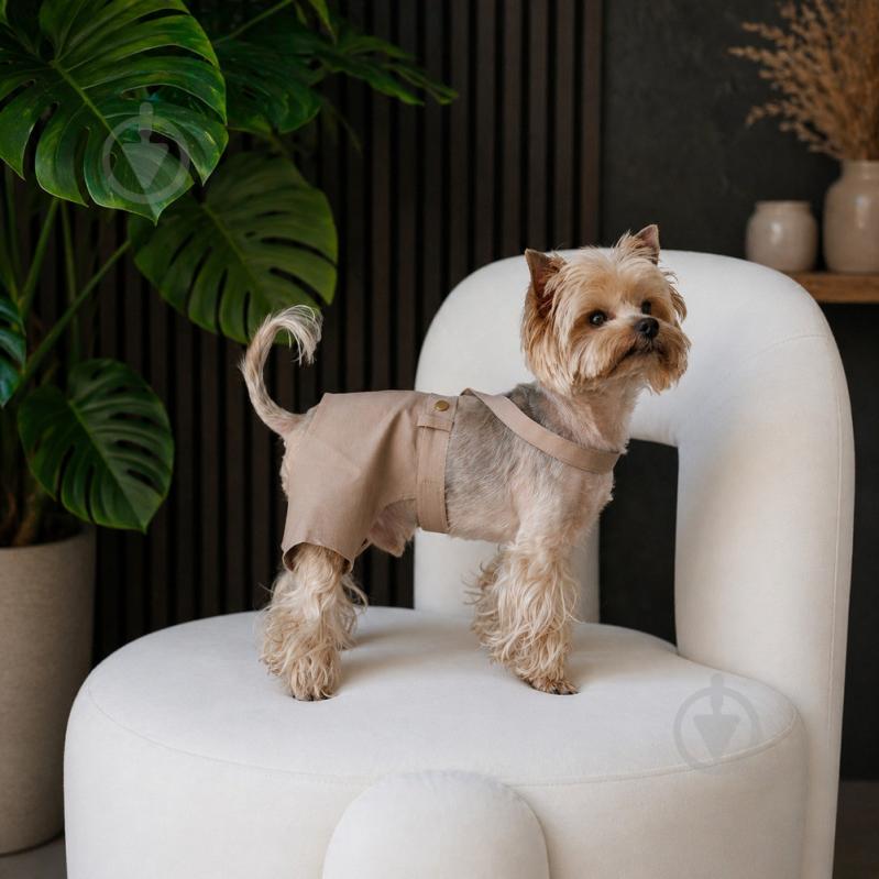 Шорти Pet Fashion Leo S - фото 3 Шорти Pet Fashion Leo S - фото 3
