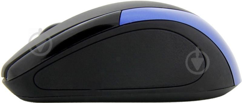 Миша ESPERANZA EM101B black/blue - фото 2