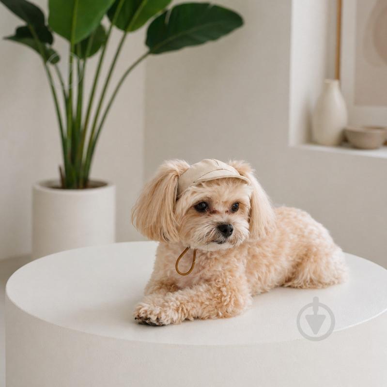 Кепка Pet Fashion Glamor М - фото 3