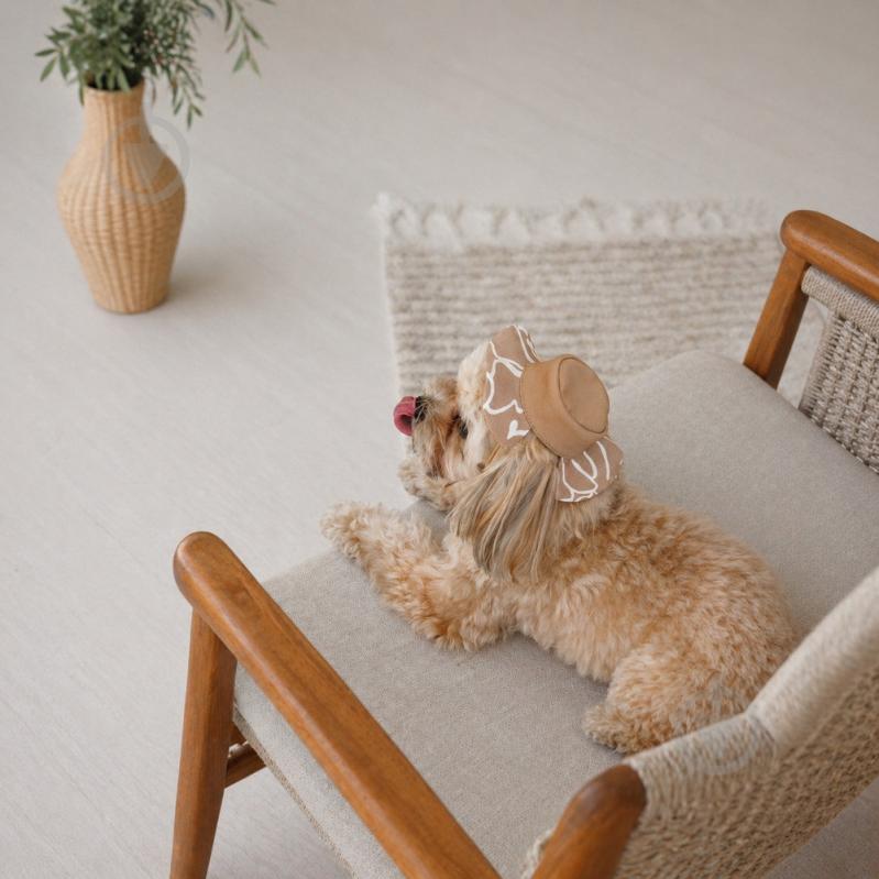 Панамка Pet Fashion Print L - фото 3 Панамка Pet Fashion Print L - фото 3