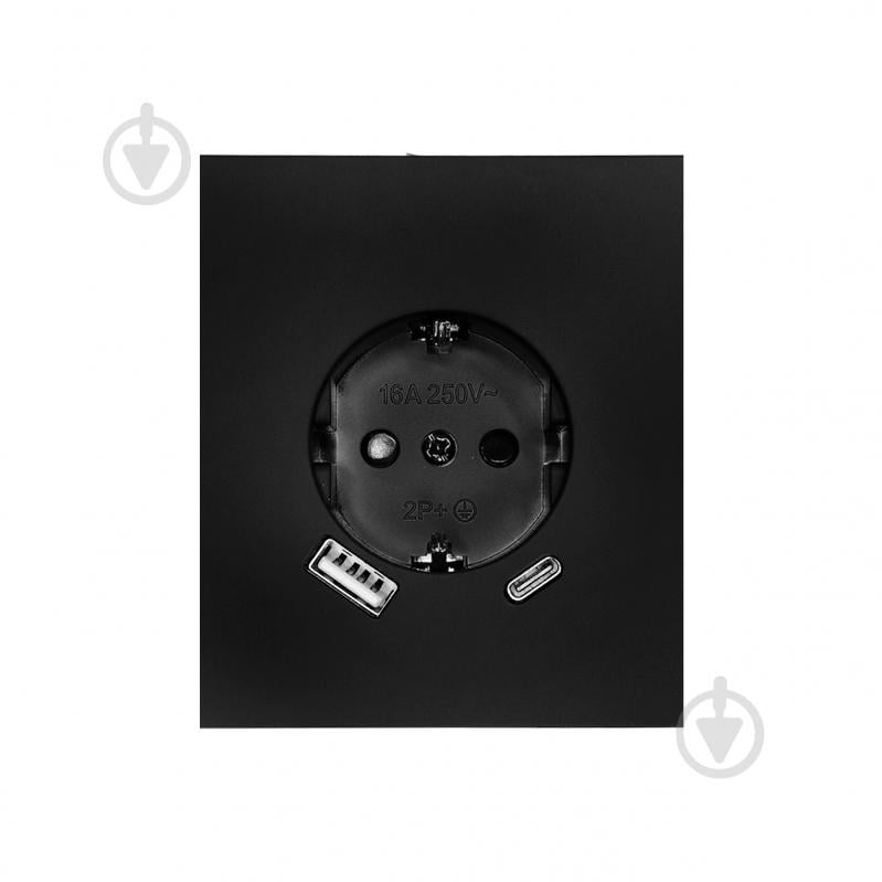 Розетка USB HausMark INO IP20 черный PS-USB+TypeC-GP-Black - фото 2