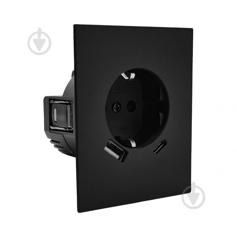 Розетка USB HausMark INO IP20 черный PS-USB+TypeC-GP-Black - фото 1