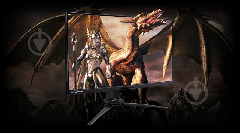 Монитор Acer Predator X25BMIIPRZX 24,5" (UM.KX0EE.006) - фото 4