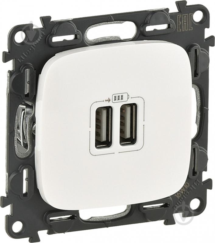 Розетка USB Legrand Allure белый 754995 - фото 1 Розетка USB Legrand Allure белый 754995 - фото 1
