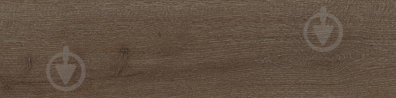 Плитка Allore Group Vivo Brown F PR NR Mat 15x60 см - фото 4