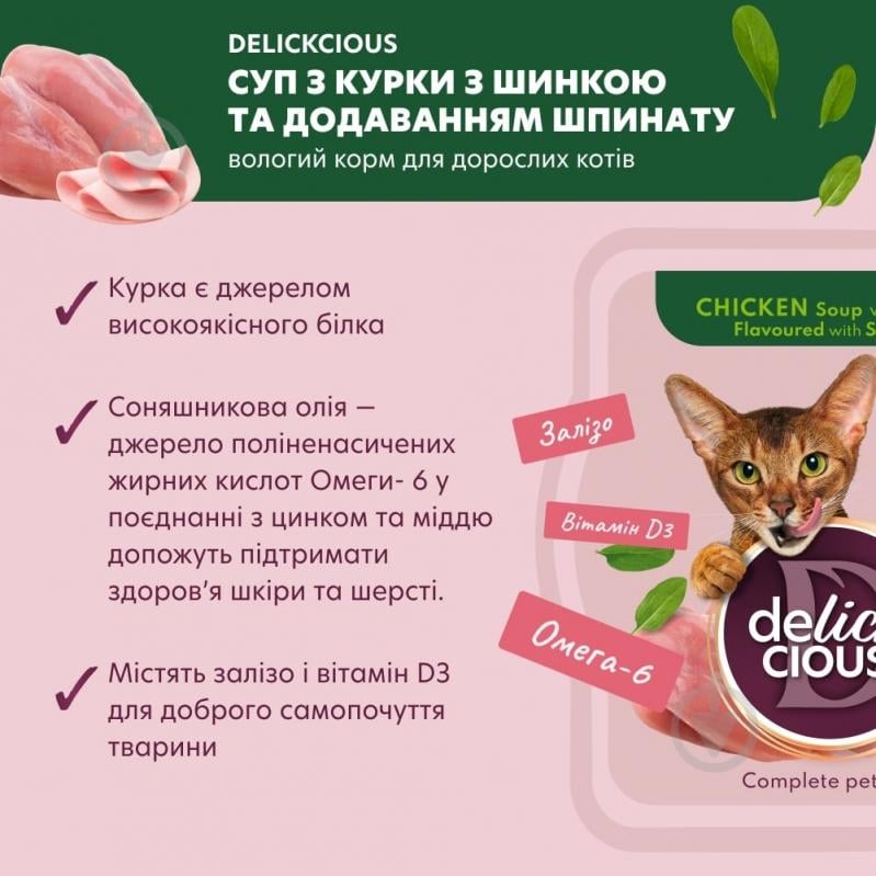 DELICKCIOUS суп з курки з шинкою та додаванням шпинату 80 г - фото 2