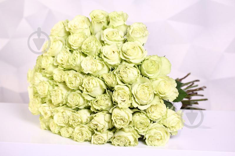 Роза Limonada одноголовая пионовидная 70 см зеленая (Нидерланды) - фото 3 Роза Limonada одноголовая пионовидная 70 см зеленая (Нидерланды) - фото 3