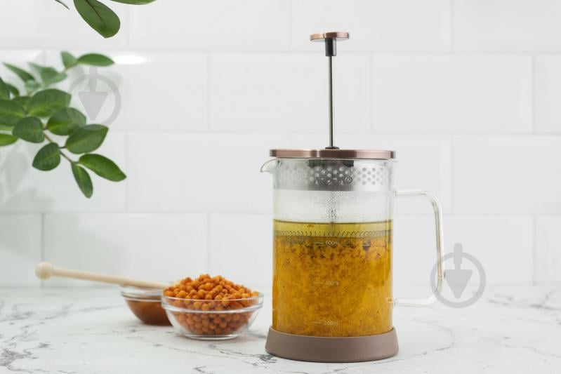 Френч-прес Ardesto Gemini 800 мл прозорий AR1908WG - фото 3