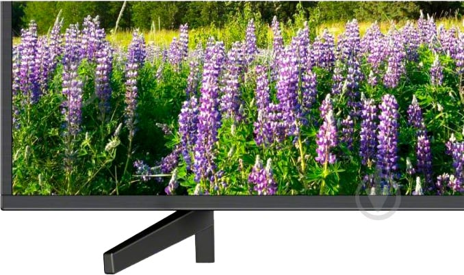 Телевизор Sony KD65XF7096BR2 XF70 - фото 4