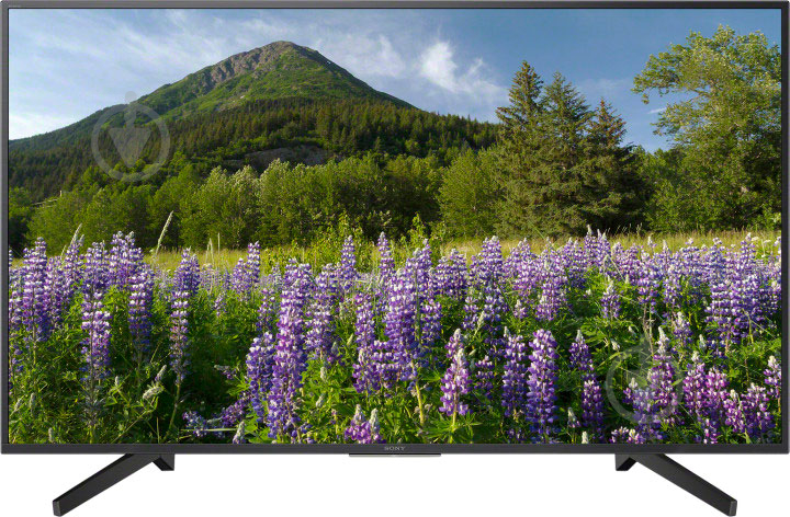 Телевизор Sony KD49XF7005BR - фото 1