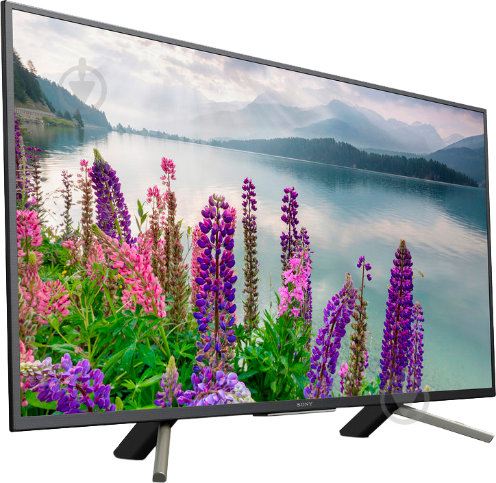 Телевизор Sony KDL49WF805BR WF80 - фото 2