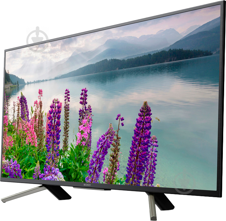 Телевизор Sony KDL49WF805BR WF80 - фото 3